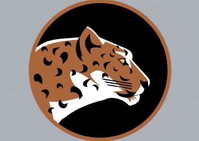 Overland Park Jungle Cats Fantasy Football Team Logo