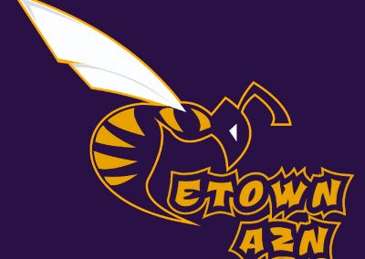 E-Town AZN Fantasy Football Team Logo